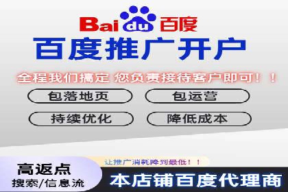 百度推广的广告投放策略案例